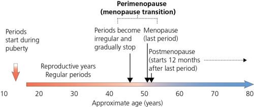 Fig02 01 What Is The Menopause Kl 500x212 